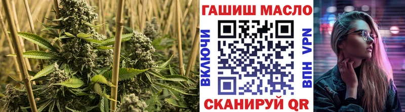 OMG ONION Стерлитамак ТГК Wax
